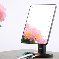 LED Lighted Make Up Mirror